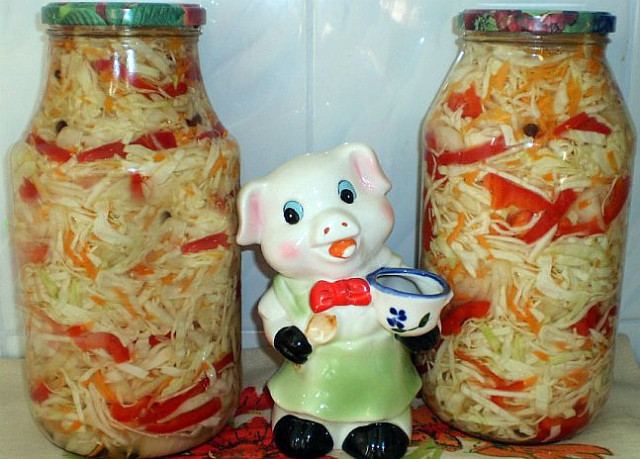 kapustnyj-salat-na-zimu-osennij