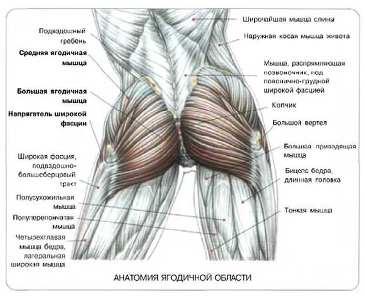 content_prisedaniya1_1__econet_ru
